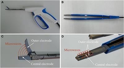 Feasibility of Microwave-Based Scissors and Tweezers in Partial Hepatectomy: An Initial Assessment on Canine Model